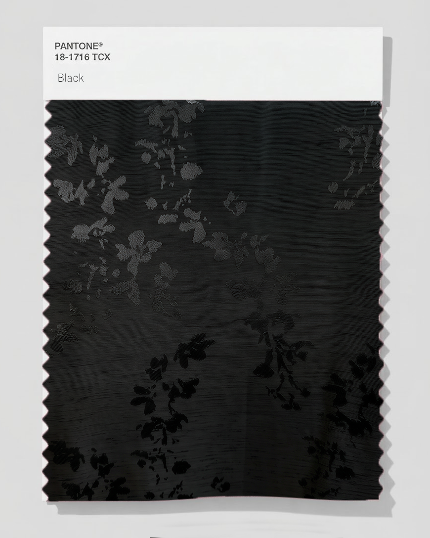 Daisy - Black